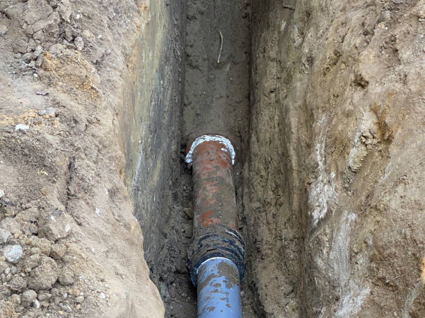 Best Professional water damage repair  in Huber Ridge, OH