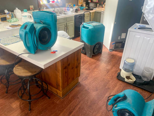 Best Water damage restoration services  in Huber Ridge, OH