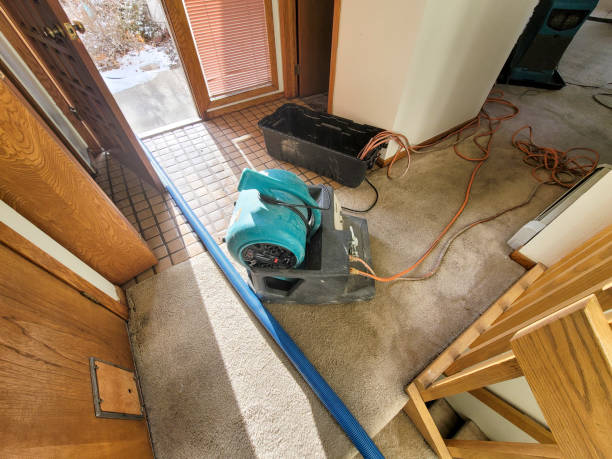 Best Emergency water damage restoration  in Huber Ridge, OH