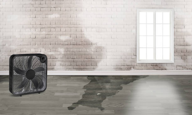 Best Water damage restoration near me  in Huber Ridge, OH