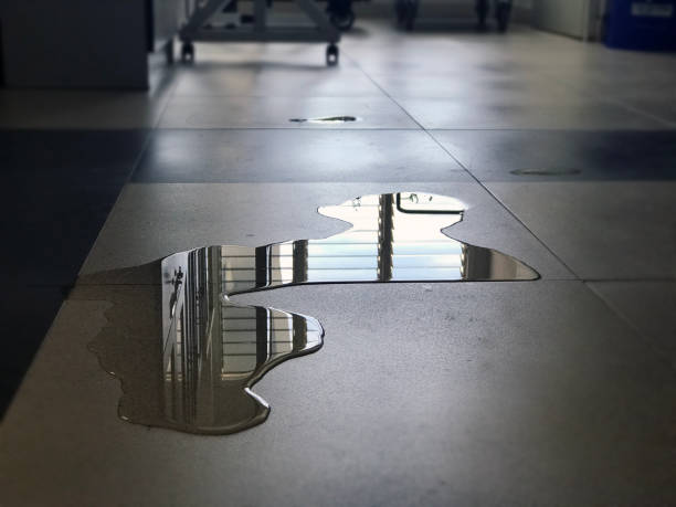 Professional Water damage restoration in Huber Ridge, OH