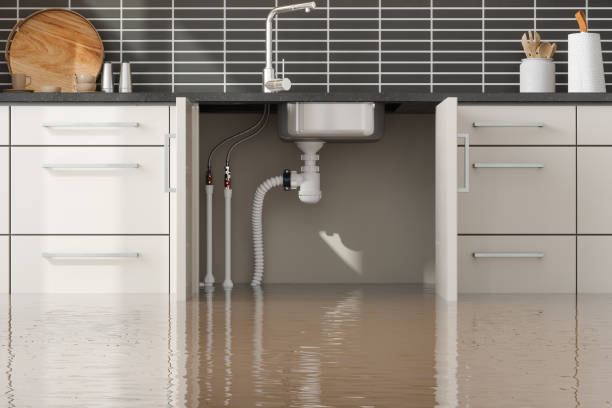 Best Carpet water damage restoration  in Huber Ridge, OH